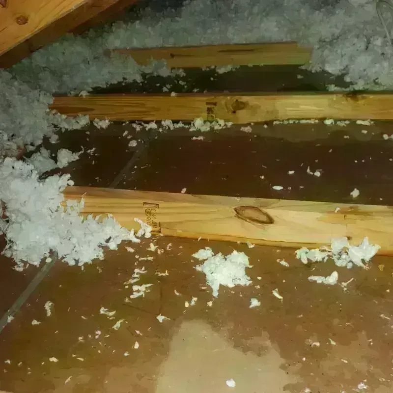 Attic Water Damage in South Waverly, PA